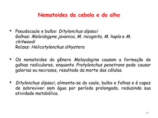Nematoides da cebola e do alho
 Pseudocaule e bulbo: Ditylenchus dipsaci
Galhas: Meloidogyne javanica, M. incognita, M. hapla e M.
chitwoodi
Raízes: Helicotylenchus dihystera
 Os nematoides do gênero Meloydogine causam a formação de
galhas radiculares, enquanto Pratylenchus penetrans pode causar
galerias ou necroses, resultado da morte das células.
 Ditylenchus dipsaci, alimenta-se do caule, bulbo e folhas e é capaz
de sobreviver sem água por período prolongado, reduzindo sua
atividade metabólica.
69
 