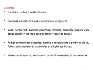 Sintomas
 Primários: Folhas e hastes florais
 Pequenas manchas brancas, circulares ou irregulares
 Cond. Favoráveis: manchas aumentam tamanho, coloração púrpura com
zonas concêntricas mais escuras (frutificação do fungo);
 Folhas severamente atacadas: murcha e enrugamento a partir do ápice,
folhas novas podem ser destruídas e redução dos bulbos;
 Haste floral: mancha, seca parcial ou total: contaminação de sementes
9
 