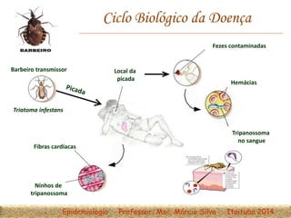 Ciclo Biológico da Doença
Barbeiro transmissor
Triatoma infestans
Local da
picada
Fezes contaminadas
Fibras cardíacas
Ninhos de
tripanossoma
Hemácias
Tripanossoma
no sangue
Epidemiologia Professor: Msc. Márcio Silva Itaituba 2014
 