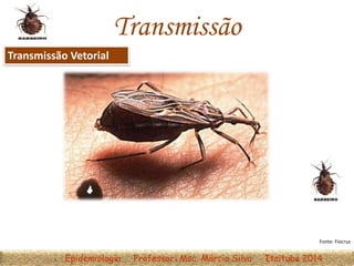 Epidemiologia Professor: Msc. Márcio Silva Itaituba 2014
Transmissão
Transmissão Vetorial
Fonte: Fiocruz
 