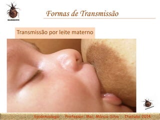 Formas de Transmissão
Transmissão por leite materno
Epidemiologia Professor: Msc. Márcio Silva Itaituba 2014
 