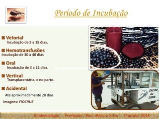 até aproximadamente 20 dias.
◙ Vetorial
◙ Hemotransfusões
◙ Oral
◙ Vertical
◙ Acidental
Ate aproximadamente 20 dias
Incubação de 5 a 15 dias.
Incubação de 30 a 40 dias.
Incubação de 3 a 22 dias.
Transplacentária, e no parto.
Imagens: FIOCRUZ
Período de Incubação
Epidemiologia Professor: Msc. Márcio Silva Itaituba 2014
 
