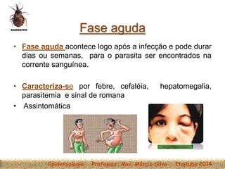 Fase aguda
• Fase aguda acontece logo após a infecção e pode durar
dias ou semanas, para o parasita ser encontrados na
corrente sanguínea.
• Caracteriza-se por febre, cefaléia, hepatomegalia,
parasitemia e sinal de romana
• Assintomática
Epidemiologia Professor: Msc. Márcio Silva Itaituba 2014
 