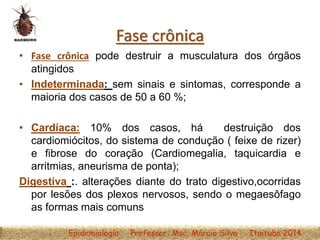 Fase crônica
• Fase crônica pode destruir a musculatura dos órgãos
atingidos
• Indeterminada: sem sinais e sintomas, corresponde a
maioria dos casos de 50 a 60 %;
• Cardíaca: 10% dos casos, há destruição dos
cardiomiócitos, do sistema de condução ( feixe de rizer)
e fibrose do coração (Cardiomegalia, taquicardia e
arritmias, aneurisma de ponta);
Digestiva :. alterações diante do trato digestivo,ocorridas
por lesões dos plexos nervosos, sendo o megaesôfago
as formas mais comuns
Epidemiologia Professor: Msc. Márcio Silva Itaituba 2014
 