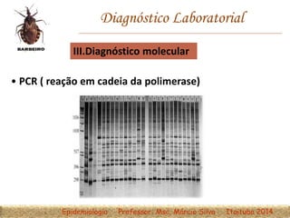 Diagnóstico Laboratorial
III.Diagnóstico molecular
• PCR ( reação em cadeia da polimerase)
Epidemiologia Professor: Msc. Márcio Silva Itaituba 2014
 