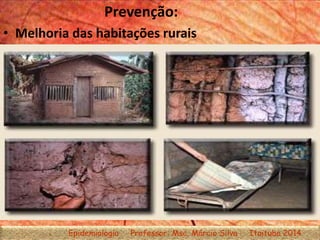 Prevenção:
• Melhoria das habitações rurais
Epidemiologia Professor: Msc. Márcio Silva Itaituba 2014
 