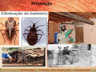 Prevenção
dedetização
Epidemiologia Professor: Msc. Márcio Silva Itaituba 2014
 
