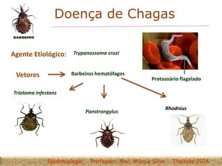 Doença de Chagas
Agente Etiológico: Trypanossoma cruzi
Vetores
Triatoma infestans
Panstrongylus
Protozoário flagelado
Barbeiros hematófagos
Epidemiologia Professor: Msc. Márcio Silva Itaituba 2014
Rhodnius
 