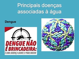 Dengue 
 