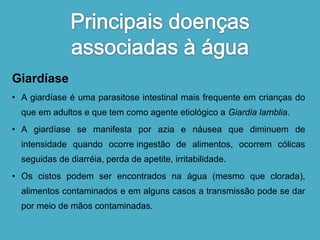 Giardíase 
• A giardíase é uma parasitose intestinal mais frequente em crianças do 
que em adultos e que tem como agente etiológico a Giardia lamblia. 
• A giardíase se manifesta por azia e náusea que diminuem de 
intensidade quando ocorre ingestão de alimentos, ocorrem cólicas 
seguidas de diarréia, perda de apetite, irritabilidade. 
• Os cistos podem ser encontrados na água (mesmo que clorada), 
alimentos contaminados e em alguns casos a transmissão pode se dar 
por meio de mãos contaminadas. 
 