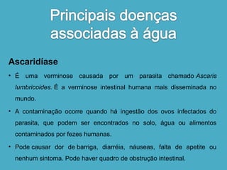 Ascaridíase 
• É uma verminose causada por um parasita chamado Ascaris 
lumbricoides. É a verminose intestinal humana mais disseminada no 
mundo. 
• A contaminação ocorre quando há ingestão dos ovos infectados do 
parasita, que podem ser encontrados no solo, água ou alimentos 
contaminados por fezes humanas. 
• Pode causar dor de barriga, diarréia, náuseas, falta de apetite ou 
nenhum sintoma. Pode haver quadro de obstrução intestinal. 
 