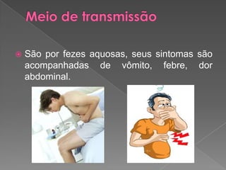 São por fezes aquosas, seus sintomas são
acompanhadas de vômito, febre, dor
abdominal.
 