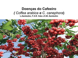 Doenças do Cafeeiro
( Coffea arabica e C. canephora)
L.Zambolim, F.X.R. Vale e E.M. Zambolim
 