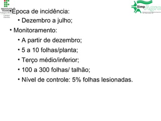 •Época de incidência:
• Dezembro a julho;
• Monitoramento:
• A partir de dezembro;
• 5 a 10 folhas/planta;
• Terço médio/inferior;
• 100 a 300 folhas/ talhão;
• Nível de controle: 5% folhas lesionadas.
 