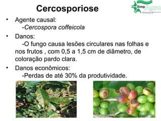 Cercosporiose
• Agente causal:
-Cercospora coffeicola
• Danos:
-O fungo causa lesões circulares nas folhas e
nos frutos , com 0,5 a 1,5 cm de diâmetro, de
coloração pardo clara.
• Danos econômicos:
-Perdas de até 30% da produtividade.
 