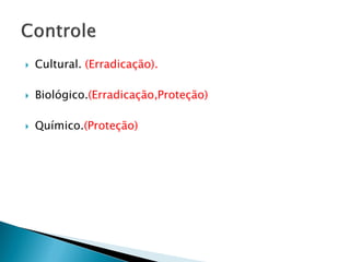  Cultural. (Erradicação).
 Biológico.(Erradicação,Proteção)
 Químico.(Proteção)
 