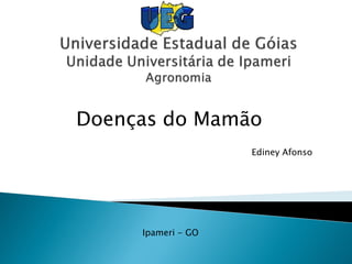 Doenças do Mamão
Ediney Afonso
Ipameri - GO
 