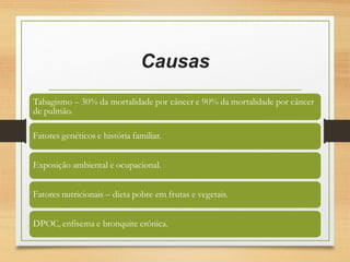 Causas
 