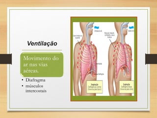 Ventilação
 