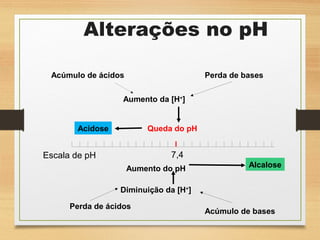 Aumento da [H+
]
7,4
Acidose
Alcalose
Queda do pH
Acúmulo de ácidos
Acúmulo de bases
Perda de ácidos
Perda de bases
Diminuição da [H+
]
Escala de pH
Aumento do pH
Alterações no pH
 
