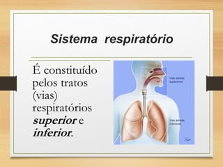 Sistema  respiratório
 