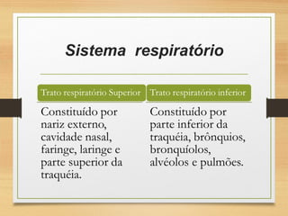 Sistema  respiratório
 
