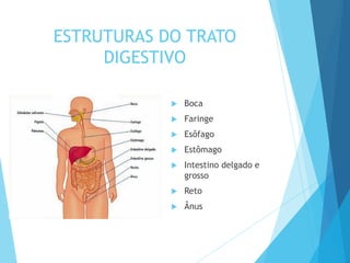 ESTRUTURAS DO TRATO
DIGESTIVO
 Boca
 Faringe
 Esôfago
 Estômago
 Intestino delgado e
grosso
 Reto
 Ânus
 