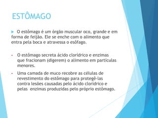 ESTÔMAGO
 O estômago é um órgão muscular oco, grande e em
forma de feijão. Ele se enche com o alimento que
entra pela boca e atravessa o esôfago.
• O estômago secreta ácido clorídrico e enzimas
que fracionam (digerem) o alimento em partículas
menores.
• Uma camada de muco recobre as células de
revestimento do estômago para protegê-las
contra lesões causadas pelo ácido clorídrico e
pelas enzimas produzidas pelo próprio estômago.
 