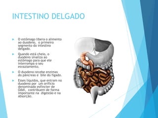 INTESTINO DELGADO
 O estômago libera o alimento
ao duodeno, o primeiro
segmento do intestino
delgado.
 Quando está cheio, o
duodeno sinaliza ao
estômago para que ele
interrompa o seu
esvaziamento.
 O duodeno recebe enzimas
do pâncreas e bile do fígado.
 Esses líquidos, que entram no
duodeno por um orifício
denominado esfíncter de
Oddi, contribuem de forma
importante na digestão e na
absorção.
 
