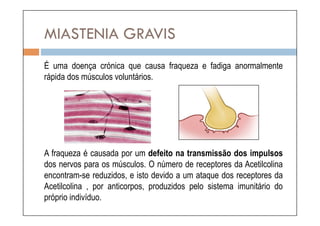 MIASTENIA GRAVIS
É uma doença crónica que causa fraqueza e fadiga anormalmente
rápida dos músculos voluntários.




A fraqueza é causada por um defeito na transmissão dos impulsos
dos nervos para os músculos. O número de receptores da Acetilcolina
encontram-se reduzidos, e isto devido a um ataque dos receptores da
Acetilcolina , por anticorpos, produzidos pelo sistema imunitário do
próprio indivíduo.
 