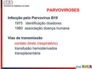 PARVOVIROSES Infecção pelo Parvovírus B19 1975  identificação doadores 1980  associação doença humana Vias de transmissão contato direto (respiratório) transfusão hemoderivados transplacentária  