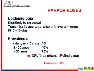 PARVOVIROSES Epidemiologia Distribuição universal Transmissão ano todo: pico primavera-inverno PI  5 –10 dias Prevalência crianças < 5 anos  5% 5 - 20 anos  40% > 50 anos  75%    43% (área urbana) 5%(indígena)       Freitas e t al , 1990 