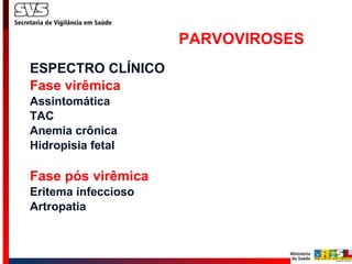 PARVOVIROSES ESPECTRO CLÍNICO Fase virêmica Assintomática TAC Anemia crônica Hidropisia fetal Fase pós virêmica Eritema infeccioso Artropatia 