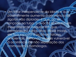 • Um fator independente da idade e que
possivelmente aumenta a ocorrência de
zigotos não diploides é que, ao ser
lançado na tuba, o ovócito encontra um
meio diferente daquele em que
permaneceu vários anos; desse modo,
ele fica exposto à ação de fatores
ambientais, tornando-se mais vulnerável
à ocorrência de não separação dos
cromossomos homólogos.
 