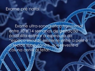Exame pré natal
Exame ultra-sonográfico transversal
entre 10 e 14 semanas de gestação
possibilita estimar a espessura do
“espaço escuro” existente entre a pele e
o tecido subcutâneo, que reveste a
coluna cervical fetal.
 