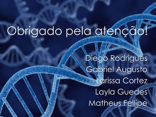 Obrigado pela atenção!
Diego Rodrigues
Gabriel Augusto
Larissa Cortez
Layla Guedes
Matheus Fellipe
 