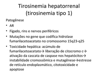 Tirosinemia hepatorrenal
(tirosinemia tipo 1)
Patogênese
• AR
• Fígado, rins e nervos periféricos
• Mutações no gene que codifica hidrolase
fumarilacetoacetato no cromossomo 15q23-q25
• Toxicidade hepática: acúmulo de
fumarilacetoacetato→ liberação de citocromo c→
ativação da cascata de caspase nos hepatócitos→
instabilidade cromossômica e mutagênese→estresse
de retículo endoplasmático, citotoxicidade e
apoptose
 