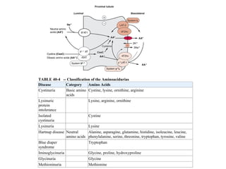 TABLE 40-4 -- Classification of the Aminoacidurias
Disease Category Amino Acids
Cystinuria Basic amino
acids
Cystine, lysine, ornithine, arginine
Lysinuric
protein
intolerance
Lysine, arginine, ornithine
Isolated
cystinuria
Cystine
Lysinuria Lysine
Hartnup disease Neutral
amino acids
Alanine, asparagine, glutamine, histidine, isoleucine, leucine,
phenylalanine, serine, threonine, tryptophan, tyrosine, valine
Blue diaper
syndrome
Tryptophan
Iminoglycinuria Glycine, proline, hydroxyproline
Glycinuria Glycine
Methioninuria Methionine
 