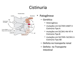 Cistinuria
• Patogênese
– Genética
• Heterogênea
• mutações em SLC7A9→rBAT→
Cistinúria Tipo A
• mutações em SLC3A1→bo,+
AT→
Cistinúria Tipo B
• mutações em SLC7A9+ SLC3A1→
Cistinúria Tipo AB
– Defeito no transporte renal
– Defeito no Transporte
Intestinal
 