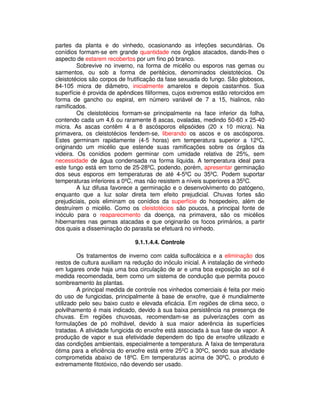 partes da planta e do vinhedo, ocasionando as infeções secundárias. Os 
conídios formam-se em grande quantidade nos órgãos atacados, dando-lhes o 
aspecto de estarem recobertos por um fino pó branco. 
Sobrevive no inverno, na forma de micélio ou esporos nas gemas ou 
sarmentos, ou sob a forma de peritécios, denominados cleistotécios. Os 
cleistotécios são corpos de frutificação da fase sexuada do fungo. São globosos, 
84-105 micra de diâmetro, inicialmente amarelos e depois castanhos. Sua 
superfície é provida de apêndices filiformes, cujos extremos estão retorcidos em 
forma de gancho ou espiral, em número variável de 7 a 15, hialinos, não 
ramificados. 
Os cleistotécios formam-se principalmente na face inferior da folha, 
contendo cada um 4,6 ou raramente 8 ascas, ovaladas, medindo 50-60 x 25-40 
micra. As ascas contêm 4 a 8 ascósporos elipsóides (20 x 10 micra). Na 
primavera, os cleistotécios fendem-se, liberando os ascos e os ascósporos. 
Estes germinam rapidamente (4-5 horas) em temperatura superior a 12ºC, 
originando um micélio que estende suas ramificações sobre os órgãos da 
videira. Os conídios podem germinar com umidade relativa de 25%, sem 
necessidade de água condensada na forma líquida. A temperatura ideal para 
este fungo está em torno de 25-28ºC, podendo, porém, apresentar germinação 
dos seus esporos em temperaturas de até 4-5ºC ou 35ºC. Podem suportar 
temperaturas inferiores a 0ºC, mas não resistem a níveis superiores a 35ºC. 
A luz difusa favorece a germinação e o desenvolvimento do patógeno, 
enquanto que a luz solar direta tem efeito prejudicial. Chuvas fortes são 
prejudiciais, pois eliminam os conídios da superfície do hospedeiro, além de 
destruírem o micélio. Como os cleistotécios são poucos, a principal fonte de 
inóculo para o reaparecimento da doença, na primavera, são os micélios 
hibernantes nas gemas atacadas e que originarão os focos primários, a partir 
dos quais a disseminação do parasita se efetuará no vinhedo. 
9.1.1.4.4. Controle 
Os tratamentos de inverno com calda sulfocálcica e a eliminação dos 
restos de cultura auxiliam na redução do inóculo inicial. A instalação de vinhedo 
em lugares onde haja uma boa circulação de ar e uma boa exposição ao sol é 
medida recomendada, bem como um sistema de condução que permita pouco 
sombreamento às plantas. 
A principal medida de controle nos vinhedos comerciais é feita por meio 
do uso de fungicidas, principalmente à base de enxofre, que é mundialmente 
utilizado pelo seu baixo custo e elevada eficácia. Em regiões de clima seco, o 
polvilhamento é mais indicado, devido à sua baixa persistência na presença de 
chuvas. Em regiões chuvosas, recomendam-se as pulverizações com as 
formulações de pó molhável, devido à sua maior aderência às superfícies 
tratadas. A atividade fungicida do enxofre está associada à sua fase de vapor. A 
produção de vapor e sua efetividade dependem do tipo de enxofre utilizado e 
das condições ambientais, especialmente a temperatura. A faixa de temperatura 
ótima para a eficiência do enxofre está entre 25ºC a 30ºC, sendo sua atividade 
comprometida abaixo de 18ºC. Em temperaturas acima de 30ºC, o produto é 
extremamente fitotóxico, não devendo ser usado. 
 