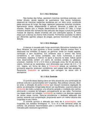9.1.1.10.2. Sintomas 
Nas bordas das folhas, aparecem manchas necróticas extensas, com 
limites difusos, dando aspecto de queimadura. Nos ramos herbáceos, 
observam-se manchas castanhas recobertas por um feltro cinza, constituído 
pelas estruturas do fungo. Na baga, aparecem pequenas manchas circulares, 
ligeiramente claras, desprendendo a película, deixando a polpa da uva 
exposta. Depois que a infeção desenvolveu-se durante 5-7 dias, o fungo 
crescerá através das rachaduras das películas das bagas e produzirá grandes 
massas de esporos, desde cinzentas até com colorações opacas. É nessa 
etapa que a doença se chama mofo cinzento. Ferimentos causados na videira 
por diferentes agentes (ataque de pragas, granizo) favorecem a infeção de 
Botrytis. 
9.1.1.10.3. Etiologia 
A doença é causada pelo fungo ascomiceto Botryotinia fuckeliana (de 
Bary) Whetzel, do qual somente a forma conidial, Botrytis cinerea Pers. é 
observada nos vinhedos. O esporo, ao germinar, emite um micélio septado, 
ramificado e sem haustórios. Em ambiente seco e ameno não forma 
conidióforos e, em outras condições, são muito numerosos e pouco 
ramificados, septados e hialinos no ápice e escuros na base. Célula apical 
mais desenvolvida contém um cacho de conídios ovóides ou globosos, 
unicelular, medindo 10-12 x 8-10 micra e coloração cinza. No fim do ciclo da 
videira, formam-se os escleródios, com dimensões que variam de 2-4 x 1-3 
mm, negros, em forma de disco e firmemente presos ao substrato. Na 
primavera seguinte, produzem conidióforos, sem passar pela fase ascógena. 
Raramente, produzem os apotécios, que carregam os ascos com 8 
ascósporos. 
9.1.1.10.4. Controle 
O controle dessa doença deve ser feito através de uma combinação de 
práticas culturais e pulverizações com fungicidas. Nas práticas culturais, deve-se 
evitar a utilização de porta-enxertos que induzam excessiva vegetação da 
planta; as adubações nitrogenadas devem ser equilibradas; a parreira deve ser 
conduzida de modo a propiciar uma eficiente aeração e insolação dos cachos, 
eliminando o excesso de folhagem, principalmente ao seu redor. Ferimentos 
nas bagas devem ser evitados, controlando os insetos e as doenças capazes 
de causar essas injúrias. Deve-se providenciar o desbaste adequado dos 
cachos, evitando sua compactação, propiciando assim um melhor alcance dos 
fungicidas no seu interior. 
O controle químico é efetuado por meio de 4 pulverizações, com 
fungicidas nos estádios fenológicos 11, 13 e 16 e três semanas antes da 
colheita. Os produtos recomendados para o controle dessa doença são os 
indicados pelo receituário agronômico. 
 