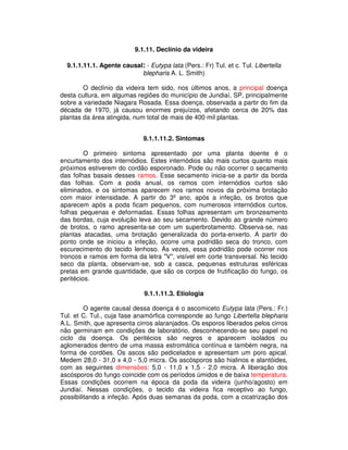 9.1.11. Declínio da videira 
9.1.1.11.1. Agente causal: - Eutypa lata (Pers.: Fr) Tul. et c. Tul. Libertella 
blepharis A. L. Smith) 
O declínio da videira tem sido, nos últimos anos, a principal doença 
desta cultura, em algumas regiões do município de Jundiaí, SP, principalmente 
sobre a variedade Niagara Rosada. Essa doença, observada a partir do fim da 
década de 1970, já causou enormes prejuízos, afetando cerca de 20% das 
plantas da área atingida, num total de mais de 400 mil plantas. 
9.1.1.11.2. Sintomas 
O primeiro sintoma apresentado por uma planta doente é o 
encurtamento dos internódios. Estes internódios são mais curtos quanto mais 
próximos estiverem do cordão esporonado. Pode ou não ocorrer o secamento 
das folhas basais desses ramos. Esse secamento inicia-se a partir da borda 
das folhas. Com a poda anual, os ramos com internódios curtos são 
eliminados, e os sintomas aparecem nos ramos novos da próxima brotação 
com maior intensidade. A partir do 3º ano, após a infeção, os brotos que 
aparecem após a poda ficam pequenos, com numerosos internódios curtos, 
folhas pequenas e deformadas. Essas folhas apresentam um bronzeamento 
das bordas, cuja evolução leva ao seu secamento. Devido ao grande número 
de brotos, o ramo apresenta-se com um superbrotamento. Observa-se, nas 
plantas atacadas, uma brotação generalizada do porta-enxerto. A partir do 
ponto onde se iniciou a infeção, ocorre uma podridão seca do tronco, com 
escurecimento do tecido lenhoso. Às vezes, essa podridão pode ocorrer nos 
troncos e ramos em forma da letra "V", visível em corte transversal. No tecido 
seco da planta, observam-se, sob a casca, pequenas estruturas esféricas 
pretas em grande quantidade, que são os corpos de frutificação do fungo, os 
peritécios. 
9.1.1.11.3. Etiologia 
O agente causal dessa doença é o ascomiceto Eutypa lata (Pers.: Fr.) 
Tul. et C. Tul., cuja fase anamórfica corresponde ao fungo Libertella blepharis 
A.L. Smith, que apresenta cirros alaranjados. Os esporos liberados pelos cirros 
não germinam em condições de laboratório, desconhecendo-se seu papel no 
ciclo da doença. Os peritécios são negros e aparecem isolados ou 
aglomerados dentro de uma massa estromática contínua e também negra, na 
forma de cordões. Os ascos são pedicelados e apresentam um poro apical. 
Medem 28,0 - 31,0 x 4,0 - 5,0 micra. Os ascósporos são hialinos e alantóides, 
com as seguintes dimensões: 5,0 - 11,0 x 1,5 - 2,0 micra. A liberação dos 
ascósporos do fungo coincide com os períodos úmidos e de baixa temperatura. 
Essas condições ocorrem na época da poda da videira (junho/agosto) em 
Jundiaí. Nessas condições, o tecido da videira fica receptivo ao fungo, 
possibilitando a infeção. Após duas semanas da poda, com a cicatrização dos 
 