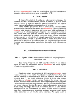 tecidos, a receptividade ao fungo fica extremamente reduzida. A temperatura 
ideal para o desenvolvimento do fungo varia de 20 a 25ºC. 
9.1.1.11.4. Controle 
O desenvolvimento lento do patógeno e a demora na manifestação dos 
sintomas dificulta o reconhecimento precoce da doença, o que só ocorre 
quando a planta já está com extensas áreas comprometidas. Isto impede, 
muitas vezes, a aplicação de medidas curativas de controle. 
Como medidas preventivas, deve-se evitar utilizar, em lotes sadios, 
ferramentas de lote doente que devem ser desinfestadas com água sanitária. 
Antes da poda efetuar o tratamento de inverno com calda sulfocálcica. A 
principal porta de entrada do patógeno na planta é por meio dos ferimentos da 
poda. Deste modo, logo após esta operação, deve-se proteger os ferimentos 
com solução concentrada de benomil (9,6g/L) ou, então, misturar o fungicida 
concentrado com os estimulantes de brotação e pulverizá-los abundantemente 
nas áreas podadas. Devem-se queimar todos os restos de cultura, ramos 
secos, cascas dos troncos ou ramos podados. Em caso de formação de novos 
vinhedos, usar estacas sadias, provenientes de regiões onde não ocorra a 
doença. 
9.1.1.12. Seca dos ramos ou botriodiplodiose 
9.1.1.12.1. Agente causal: - Botryosphaeria rhodina von Arx (Botryodiplodia 
theobromae Pat.) 
Esta doença foi descrita em 1991, afetando vinhedos de uva Itália na 
região de Jales, SP. Atualmente, acha-se disseminada em outras regiões, 
inclusive no nordeste brasileiro. 
9.1.1.12.2. Sintomas 
As plantas entram num processo de definhamento progressivo, muitas 
vezes culminando com a morte. Fazendo-se um corte transversal do ramo 
afetado, observam-se áreas mortas no lenho, de coloração mais escura, em 
forma da letra “V”. Os ramos infectados morrem da ponta para a base, 
adquirindo uma coloração marrom a cinza. Na casca dos ramos e esporões 
doentes, aparecem pontuações escuras formadas pelos picnídios do patógeno. 
Os picnídios também aparecem sob a casca dos cancros, que se desenvolvem 
nos ramos e troncos doentes. Em outros países, são descritos os sintomas 
dessa doença nas bagas da videira. Inicialmente, observa-se uma mancha 
encharcada que, nas variedades de uva branca, adquire uma coloração rosa 
clara. Com o desenvolvimento da doença, as bagas racham e melam, sendo 
então recobertas por um micélio branco cotonoso. As bagas secam e 
 