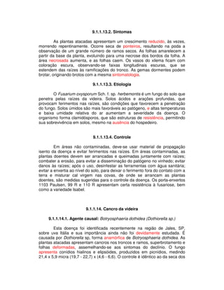 9.1.1.13.2. Sintomas 
As plantas atacadas apresentam um crescimento reduzido, às vezes, 
morrendo repentinamente. Ocorre seca de ponteiros, resultando na poda a 
observação de um grande número de ramos secos. As folhas amarelecem a 
partir da base da planta, evoluindo para uma necrose dos bordos da folha. A 
área necrosada aumenta, e as folhas caem. Os vasos do xilema ficam com 
coloração escura, observando-se faixas longitudinais escuras, que se 
estendem das raízes às ramificações do tronco. As gemas dormentes podem 
brotar, originando brotos com a mesma sintomatologia. 
9.1.1.13.3. Etiologia 
O Fusarium oxysporum Sch. f. sp. herbemontis é um fungo do solo que 
penetra pelas raízes da videira. Solos ácidos e arações profundas, que 
provocam ferimentos nas raízes, são condições que favorecem a penetração 
do fungo. Solos úmidos são mais favoráveis ao patógeno, e altas temperaturas 
e baixa umidade relativa do ar aumentam a severidade da doença. O 
organismo forma clamidósporos, que são estruturas de resistência, permitindo 
sua sobrevivência em solos, mesmo na ausência do hospedeiro. 
9.1.1.13.4. Controle 
Em áreas não contaminadas, deve-se usar material de propagação 
isento da doença e evitar ferimentos nas raízes. Em áreas contaminadas, as 
plantas doentes devem ser arrancadas e queimadas juntamente com raízes; 
combater a erosão, para evitar a disseminação do patógeno no vinhedo; evitar 
danos às raízes; após o uso, desinfestar as ferramentas com água sanitária; 
evitar a enxertia ao nível do solo, para deixar o ferimento fora do contato com a 
terra e misturar cal virgem nas covas, de onde se arrancam as plantas 
doentes, são medidas sugeridas para o controle da doença. Os porta-enxertos 
1103 Paulsen, 99 R e 110 R apresentam certa resistência à fusariose, bem 
como a variedade Isabel. 
9.1.1.14. Cancro da videira 
9.1.1.14.1. Agente causal: Botryosphaeria dothidea (Dothiorella sp.) 
Esta doença foi identificada recentemente na região de Jales, SP, 
sobre uva Itália e sua importância ainda não foi devidamente estudada. É 
causada por Dothiorella sp, forma anamórfica de Botryosphaeria dothidea. As 
plantas atacadas apresentam cancros nos troncos e ramos, superbrotamento e 
folhas deformadas, assemelhando-se aos sintomas do declínio. O fungo 
apresenta conídios hialinos e elipsóides, produzidos em picnídios, medindo 
21,4 x 5,9 micra (19,7 - 22,7) x (4,6 - 6,6). O controle é idêntico ao da seca dos 
 