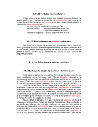 9.1.1.15.10. Outras manchas foliares 
Existe uma série de outros fungos que causam manchas foliares na 
videira, porém, sem importância econômica. As pulverizações para controle de 
outras doenças também exercem controle sobre eles. As principais doenças e 
os organismos relacionadas são: 
- Mancha irregular - Briosia ampelophaga Cav. 
- Mancha zonada - Cristulariella moricola (Hino) Red. 
- (Sclerotium cinnamoni Sawada) 
- Mancha de Septoria - Septoria ampelina Berk & Curt. 
9.1.1.16. Principais doenças causadas por bactérias 
No Brasil, as doenças bacterianas não apresentam, até o momento, 
muita gravidade, podendo aparecer esporadicamente em alguns vinhedos. Em 
outros países, porém, algumas espécies de bactéria podem causar severos 
danos à videira. Dentre essas, merecem ser citadas as que causam as 
seguintes doenças: 
9.1.1.16.1. Galha da coroa ou tumor bacteriano 
9.1.1.16.1.1. Agente causal: Agrobacterium vitis Ophel & Kerr. 
Esta bactéria apresenta um grande número de plantas hospedeiras, 
tanto herbáceas como lenhosas. Nas videiras atacadas, observa-se a 
formação de tumores ou intumescência no colo das plantas ou em ramos de 1 
a 2 anos. Esses tumores inicialmente moles, carnosos e do tamanho de uma 
ervilha, vão-se desenvolvendo, podendo chegar a medir 15cm de diâmetro. 
Sua coloração varia de esbranquiçada a negra e, à medida que 
envelhece, a textura do tumor vai-se lignificando, endurecendo e enrugando. 
Posteriormente, essas formações se desprendem do ramo, ficando, no local, 
profundas cáries. As plantas vão definhando, devido à desorganização do 
tecido vascular, e acabam morrendo. A bactéria penetra através de ferimentos 
e é favorecida pela umidade excessiva do solo e por plantios adensados, 
tornando deficiente a aeração das plantas. 
Nas medidas de controle, deve-se evitar terrenos alcalinos, úmidos e já 
infestados, eliminando-se todas as plantas hospedeiras. Boa insolação e 
ventilação das plantas são medidas eficientes no controle, bem como a 
utilização de material de propagação sadio. As enxertias não devem ser ao 
nível do solo, e sim um pouco mais alto, devendo-se proteger os ferimentos 
com produto cúprico, além de desinfestar as ferramentas com hipoclorito de 
sódio a 1%. Ramos afetados devem ser podados e queimados, além de se 
 