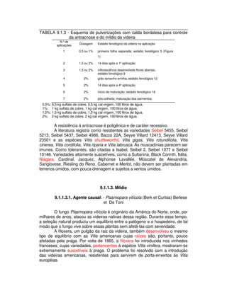TABELA 9.1.3 - Esquema de pulverizações com calda bordalesa para controle 
da antracnose e do míldio da videira 
N.º de 
aplicações Dosagem Estádio fenológico da videira na aplicação 
1 0,5 ou 1% primeira folha separada; estádio fenológico 5 (Figura 
1) 
2 1,5 ou 2% 14 dias após a 1ª aplicação 
3 1,5 ou 2% inflorescência desenvolvida flores abertas; 
estádio fenológico 9 
4 2% grão tamanho ervilha; estádio fenológico 12 
5 2% 14 dias após a 4ª aplicação 
6 2% início da maturação; estádio fenológico 16 
7 2% pós-colheita, maturação dos sarmentos 
0,5%: 0,5 kg sulfato de cobre, 0,5 kg cal virgem, 100 litros de água. 
1%: 1 kg sulfato de cobre, 1 kg cal virgem, 100 litros de água. 
1,5%: 1,5 kg sulfato de cobre, 1,5 kg cal virgem, 100 litros de água. 
2%: 2 kg sulfato de cobre, 2 kg cal virgem, 100 litros de água. 
A resistência à antracnose é poligênica e de caráter recessivo. 
A literatura registra como resistentes as variedades Seibel 5455, Seibel 
5213, Seibel 5437, Seibel 4986, Bacco 22A, Seyve Villard 12413, Seyve Villard 
23501 e as espécies Vitis shuttleworthii, Vitis gigas, Vitis rotundifolia, Vitis 
cinerea, Vitis cordifolia, Vitis riparia e Vitis labrusca. As muscadínias parecem ser 
imunes. Como tolerantes, são citadas a Isabel, Seibel 2, Seibel 1077 e Seibel 
10146. Variedades altamente suscetíveis, como a Sultanina, Black Corinth, Itália, 
Niagara, Cardinal, Jacquez, Alphonse Lavallée, Moscatel de Alexandria, 
Sangiovese, Riesling do Reno, Cabernet e Merlot, não devem ser plantadas em 
terrenos úmidos, com pouca drenagem e sujeitos a ventos úmidos. 
9.1.1.3. Míldio 
9.1.1.3.1. Agente causal: - Plasmopara vitícola (Berk et Curtiss) Berlese 
et De Toni 
O fungo Plasmopara vitícola é originário da América do Norte, onde, por 
milhares de anos, atacou as videiras nativas dessa região. Durante esse tempo, 
a seleção natural produziu um equilíbrio entre o patógeno e o hospedeiro, de tal 
modo que o fungo vive sobre essas plantas sem afetá-las com severidade. 
A filoxera, um pulgão da raiz da videira, também desenvolveu o mesmo 
tipo de equilíbrio com as Vitis americanas cujas raízes são, portanto, pouco 
afetadas pela praga. Por volta de 1865, a filoxera foi introduzida nos vinhedos 
franceses, cujas variedades, pertencentes à espécie Vitis vinifera, mostraram-se 
extremamente suscetíveis à praga. O problema foi resolvido com a introdução 
das videiras americanas, resistentes para servirem de porta-enxertos às Vitis 
européias. 
 