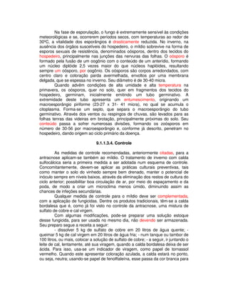 Na fase de esporulação, o fungo é extremamente sensível às condições 
meteorológicas e se, ocorrerem períodos secos, com temperaturas ao redor de 
30ºC, a vitalidade dos esporângios é drasticamente reduzida. No inverno, na 
ausência dos órgãos suscetíveis do hospedeiro, o míldio sobrevive na forma de 
esporos sexuais de resistência, denominados oósporos, dentro dos tecidos do 
hospedeiro, principalmente nas junções das nervuras das folhas. O oósporo é 
formado pela fusão de um oogônio com o conteúdo de um anterídio, formando 
um núcleo diplóide 2,5 vezes maior do que núcleos haplóides, resultando 
sempre um oósporo, por oogônio. Os oósporos são corpos arredondados, com 
centro claro e coloração parda avermelhada, envoltos por uma membrana 
delgada, que se espessa no inverno. Seu diâmetro é de 30-40 micra. 
Quando advêm condições de alta umidade e alta temperatura na 
primavera, os oósporos, quer no solo, quer em fragmentos dos tecidos do 
hospedeiro, germinam, inicialmente emitindo um tubo germinativo. A 
extremidade deste tubo apresenta um entumescimento, originando um 
macroesporângio piriforme (23-27 x 31- 41 micra), no qual se acumula o 
citoplasma. Forma-se um septo, que separa o macroesporângio do tubo 
germinativo. Através dos ventos ou respingos de chuvas, são levados para as 
folhas tenras das videiras em brotação, principalmente próximas do solo. Seu 
conteúdo passa a sofrer numerosas divisões, formando os zoósporos em 
número de 30-56 por macroesporângio e, conforme já descrito, penetram no 
hospedeiro, dando origem ao ciclo primário da doença. 
9.1.1.3.4. Controle 
As medidas de controle recomendadas, anteriormente citadas, para a 
antracnose aplicam-se também ao míldio. O tratamento de inverno com calda 
sulfocálcica seria a primeira medida a ser adotada num esquema de controle. 
Concomitantemente, devem-se aplicar as práticas culturais preventivas, tais 
como manter o solo do vinhedo sempre bem drenado, manter o potencial de 
inóculo sempre em níveis baixos, através da eliminação dos restos de cultura do 
ciclo anterior; possibilitar boa circulação de ar, por meio do espaçamento e da 
poda, de modo a criar um microclima menos úmido, diminuindo assim as 
chances de infeções secundárias. 
Qualquer medida de controle para o míldio deve ser complementada, 
com a aplicação de fungicidas. Dentre os produtos tradicionais, têm-se a calda 
bordalesa que é, como já foi visto no controle da antracnose, uma mistura de 
sulfato de cobre e cal virgem. 
Com algumas modificações, pode-se preparar uma solução estoque 
desse fungicida, para ser usada no mesmo dia, não devendo ser armazenada. 
Seu preparo segue a receita a seguir: 
- dissolver 5 kg de sulfato de cobre em 20 litros de água quente; - 
queimar 5 kg de cal virgem em 20 litros de água fria; - num tanque ou tambor de 
100 litros, ou mais, colocar a solução de sulfato de cobre; - a seguir, ir juntando o 
leite de cal, lentamente, até sua viragem, quando a calda bordalesa deixa de ser 
ácida. Para isso, usa-se um indicador de viragem, como papel de tornassol 
vermelho. Quando este apresentar coloração azulada, a calda estará no ponto, 
ou seja, neutra; usando-se papel de fenolftaleína, esse passa da cor branca para 
 