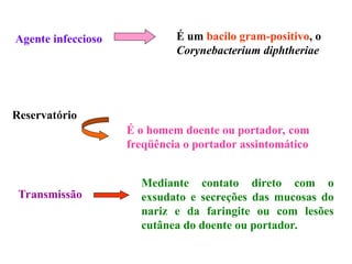 Agente infeccioso É um bacilo gram-positivo, o
Corynebacterium diphtheriae
Reservatório
É o homem doente ou portador, com
freqüência o portador assintomático
Transmissão
Mediante contato direto com o
exsudato e secreções das mucosas do
nariz e da faringite ou com lesões
cutânea do doente ou portador.
 