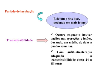 Período de incubação
É de um a seis dias,
podendo ser mais longo
Transmissibilidade
 Ocorre enquanto houver
bacilos nas secreções e lesões,
durando, em média, de duas a
quatro semanas.
 Com antibioticoterapia
adequada a
transmissibilidade cessa 24 a
48 horas
 