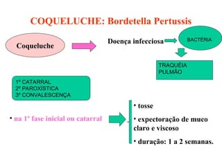 COQUELUCHE: Bordetella Pertussis
Coqueluche
Doença infecciosa
• na 1ª fase inicial ou catarral
• tosse
• expectoração de muco
claro e viscoso
• duração: 1 a 2 semanas.
BACTÉRIA
TRAQUÉIA
PULMÃO
1º CATARRAL
2º PAROXÍSTICA
3º CONVALESCENÇA
 
